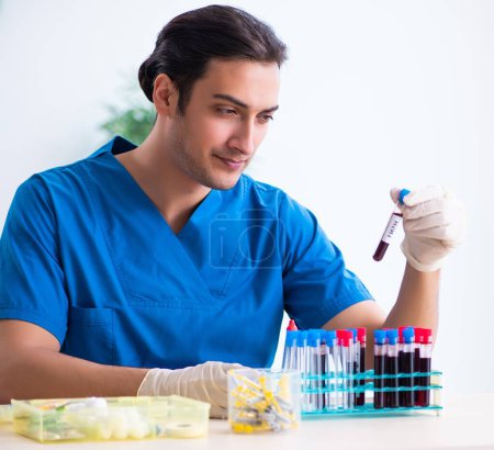 Photo for The young lab assistant testing blood samples in hospital - Royalty Free Image