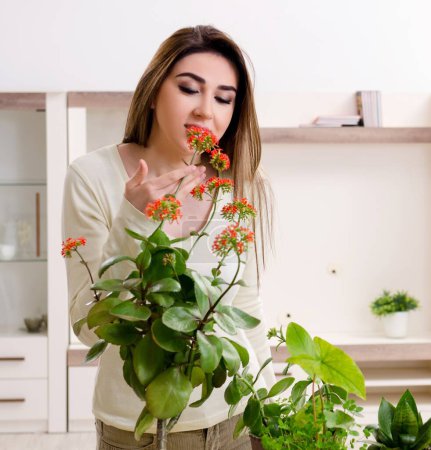 Foto de La joven jardinero con plantas en el interior - Imagen libre de derechos