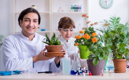 Photo for The two young botanist working in the lab - Royalty Free Image
