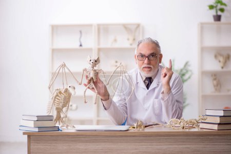 Old paleontologist examining ancient animals at lab