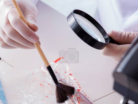 Photo for Criminologist police chemist looking at crime evidence - Royalty Free Image
