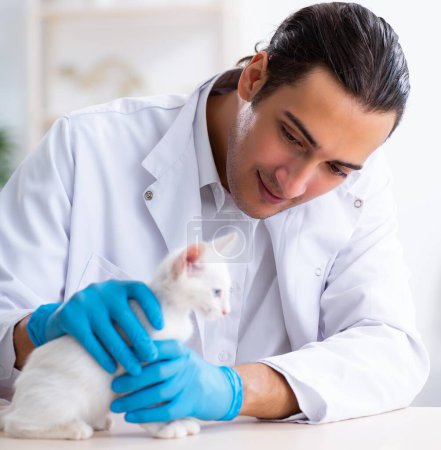 Foto de El joven doctor examinando gato enfermo - Imagen libre de derechos