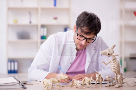 Photo for Young paleontologist examining ancient animals at lab - Royalty Free Image