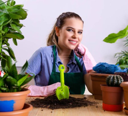 Téléchargez les photos : La jeune jardinière avec des plantes à l'intérieur - en image libre de droit