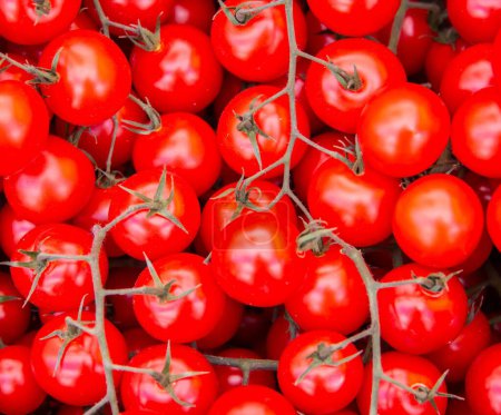 Foto de Los tomates en el puesto de exhibición del mercado - Imagen libre de derechos