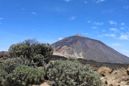 Téléchargez les photos : Vue sur l'île des Canaries. teide volcan, espagne, tenerife - en image libre de droit