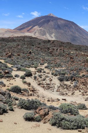 Spain- canary islands- roques de garcia rock formations with mount teide in backgroundimages