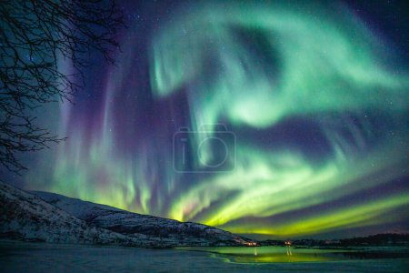 Foto de Increíble actividad de Aurora Boreal sobre la costa en Noruega - Imagen libre de derechos