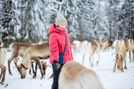 Photo for Cute pre-teen girl outdoors feeding reindeers on farm on sunny winter day in Lapland Finland - Royalty Free Image