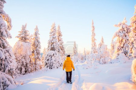 Téléchargez les photos : Jeune femme bénéficiant d'une vue imprenable sur la forêt d'hiver avec des arbres enneigés en Laponie Finlande - en image libre de droit