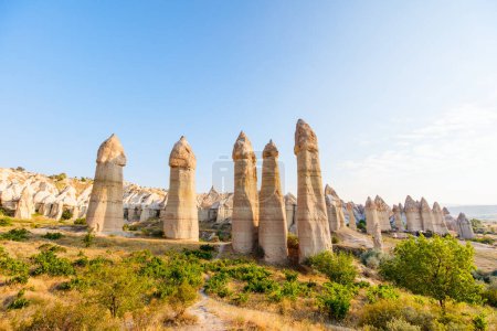 Photo for Love valley view with rock formations and fairy chimneys in Cappadocia Turkey - Royalty Free Image