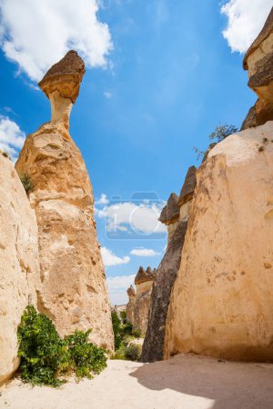 Photo for Pasabag Monks valley in Cappadocia Turkey with unique rock formations and fairy chimneys - Royalty Free Image