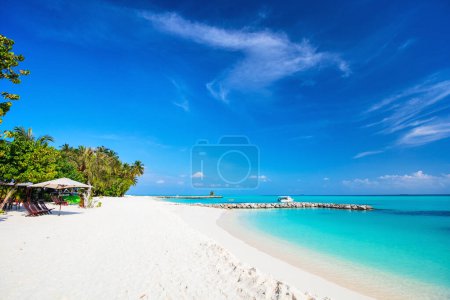 Téléchargez les photos : Belle plage tropicale sur une île exotique aux Maldives - en image libre de droit