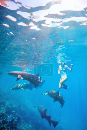 Téléchargez les photos : Photo sous-marine d'une adolescente plongeant en apnée dans une eau tropicale claire avec des requins nourrices aux Maldives - en image libre de droit