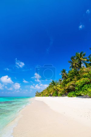 Téléchargez les photos : Belle plage tropicale sur une île exotique aux Maldives - en image libre de droit