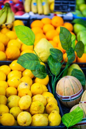Photo for Assortment of fresh lemons at fruit market in Amalfi Italy - Royalty Free Image