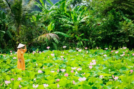 Téléchargez les photos : Belle femme portant une robe jaune et chapeau vietnamien conique entouré par le lac avec des fleurs de lotus - en image libre de droit