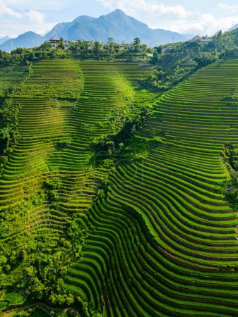 Photo for Stunning scenery of mountains and rice terraces in northern Vietnam - Royalty Free Image