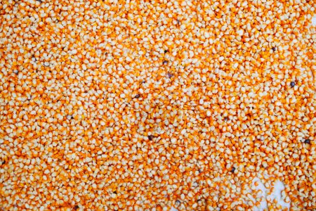 Photo for Full frame background top view of raw yellow corn seeds scattered on surface - Royalty Free Image