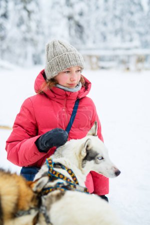 Foto de Adorable niña pre-adolescente abrazándose con perros husky al aire libre en el día de invierno en Laponia Finlandia - Imagen libre de derechos
