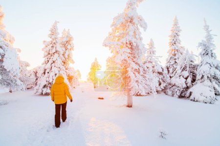 Téléchargez les photos : Vue arrière d'une jeune femme marchant dans une forêt hivernale parmi des arbres enneigés en Laponie Finlande - en image libre de droit