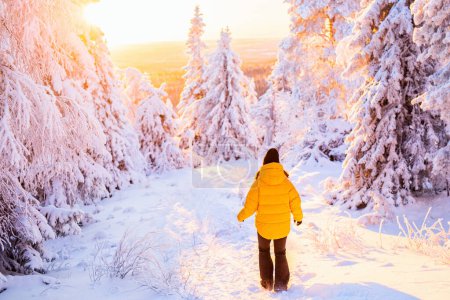 Téléchargez les photos : Vue arrière d'une jeune femme marchant dans une forêt hivernale parmi des arbres enneigés en Laponie Finlande - en image libre de droit