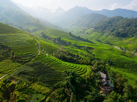 Téléchargez les photos : Superbes paysages de montagnes et terrasses de riz dans le nord du Vietnam - en image libre de droit