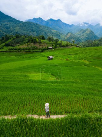 Téléchargez les photos : Jeune femme randonnée parmi les rizières du nord du Vietnam - en image libre de droit