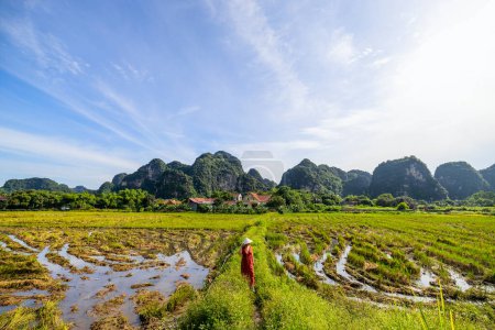 Photo for Beautiful woman wearing red dress and vietnamese conical hat enjoying countryside scenery and rice fields of Ninh Binh in Vietnam - Royalty Free Image