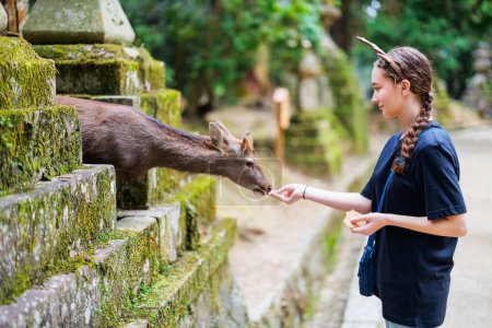 Beautiful teenage girl feeding sika deer in Nara Japan