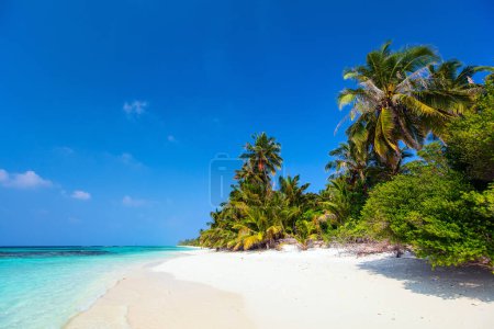Photo for Beautiful tropical beach on exotic island at Maldives - Royalty Free Image
