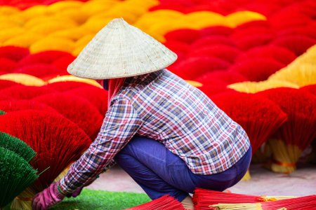 Photo for Female worker wearing conical hat among red incense sticks drying outdoor in village near Hanoi in Vietnam - Royalty Free Image