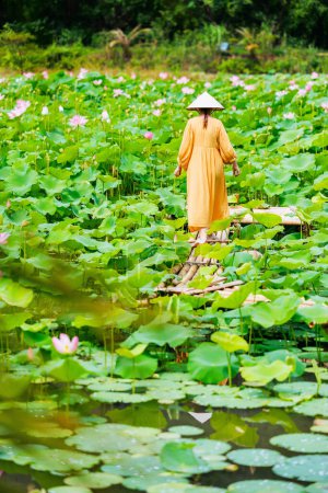 Foto de Hermosa mujer con vestido amarillo y sombrero cónico vietnamita rodeada de lago con flores de loto - Imagen libre de derechos