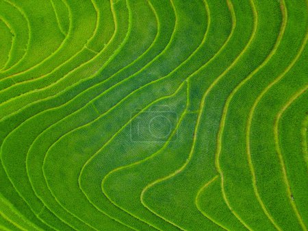 Photo for Stunning scenery of rice terraces in northern Vietnam - Royalty Free Image