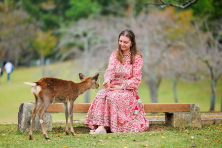 Beautiful tourist woman feeding young sika deer in Nara park Japan