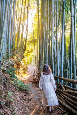 Photo for Beautiful caucasian woman in bamboo forest at early morning in Kyoto Japan - Royalty Free Image