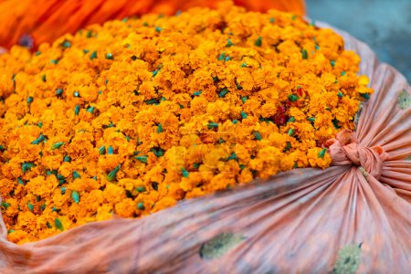 Photo for Many marigold flower buds at outdoor market in Jaipur India - Royalty Free Image