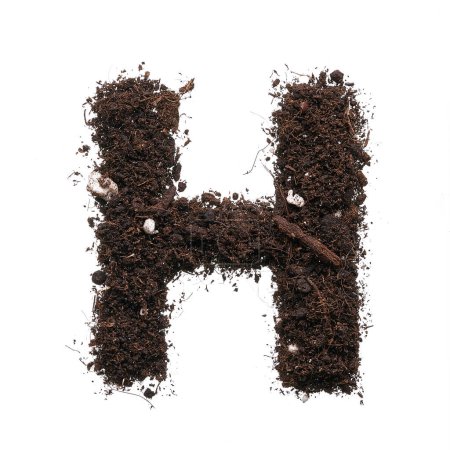 Photo for Capital letter H created using earth isolated on white background. - Royalty Free Image