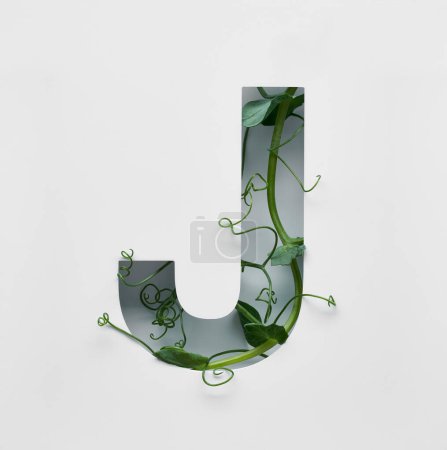 Foto de La letra mayúscula está decorada con un brote de guisante verde joven sobre un fondo blanco. - Imagen libre de derechos
