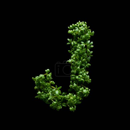 Photo for The capital letter is made of green arugula on a black background. - Royalty Free Image