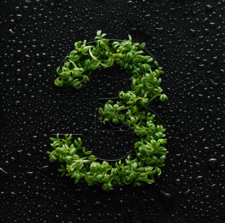 Foto de El número se crea a partir de brotes de rúcula verde joven sobre un fondo negro cubierto con gotas de agua. - Imagen libre de derechos