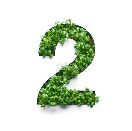 Photo for Number two is created from young green arugula sprouts on a white background. - Royalty Free Image