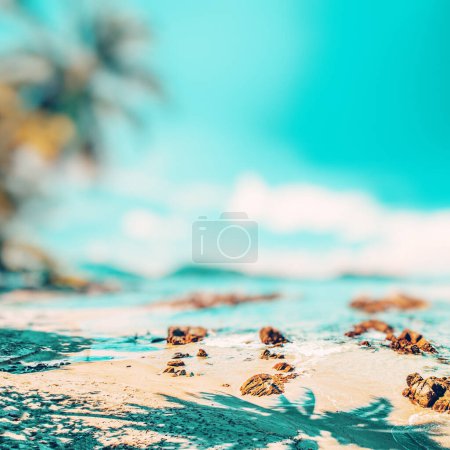 Photo for Tropical ocean beach, caribbean paradise - Royalty Free Image