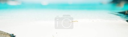Photo for Nature travel tropical ocean beach - Royalty Free Image
