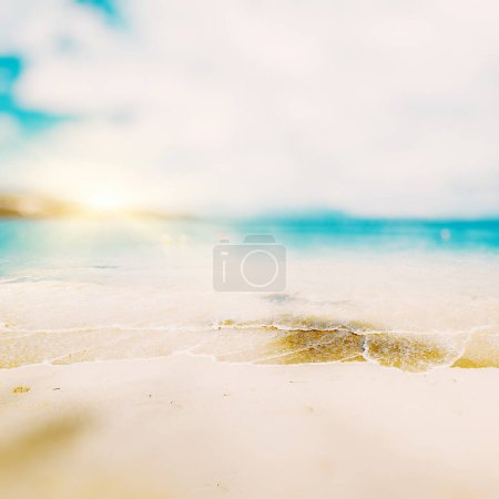 Téléchargez les photos : Tropical plage perdue fond d'été - en image libre de droit