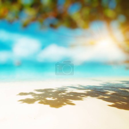 Foto de Playa tropical del océano fondo bokeh - Imagen libre de derechos