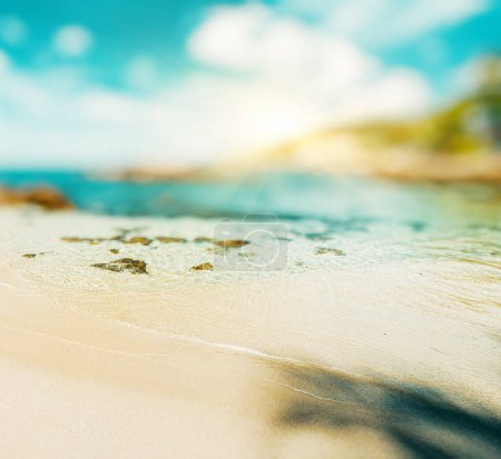 Foto de Tropical perdido playa verano fondo - Imagen libre de derechos