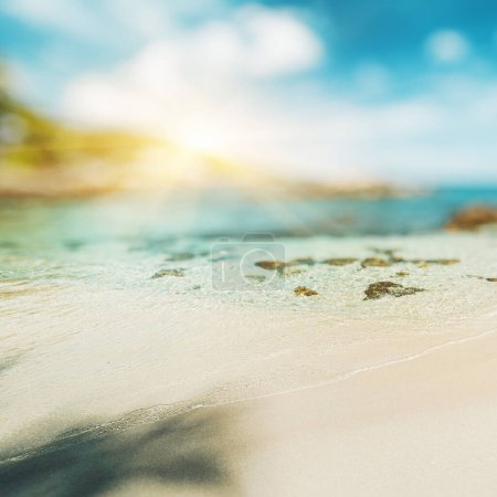 Photo for Tropical lost beach summer background - Royalty Free Image