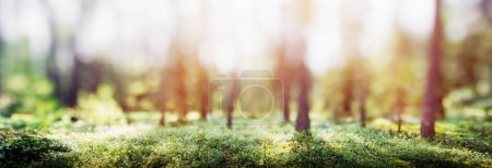 Téléchargez les photos : Flou printemps forêt panorama beau paysage vert - en image libre de droit