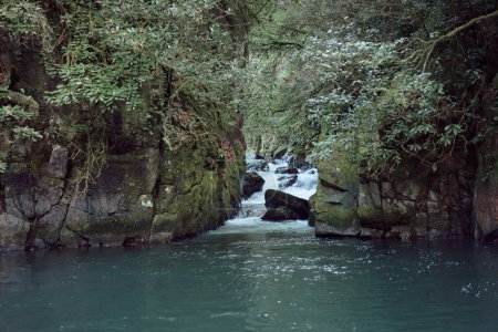 Téléchargez les photos : Small waterfall creek running into forest lake. - en image libre de droit